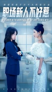 职场新人不好惹海报