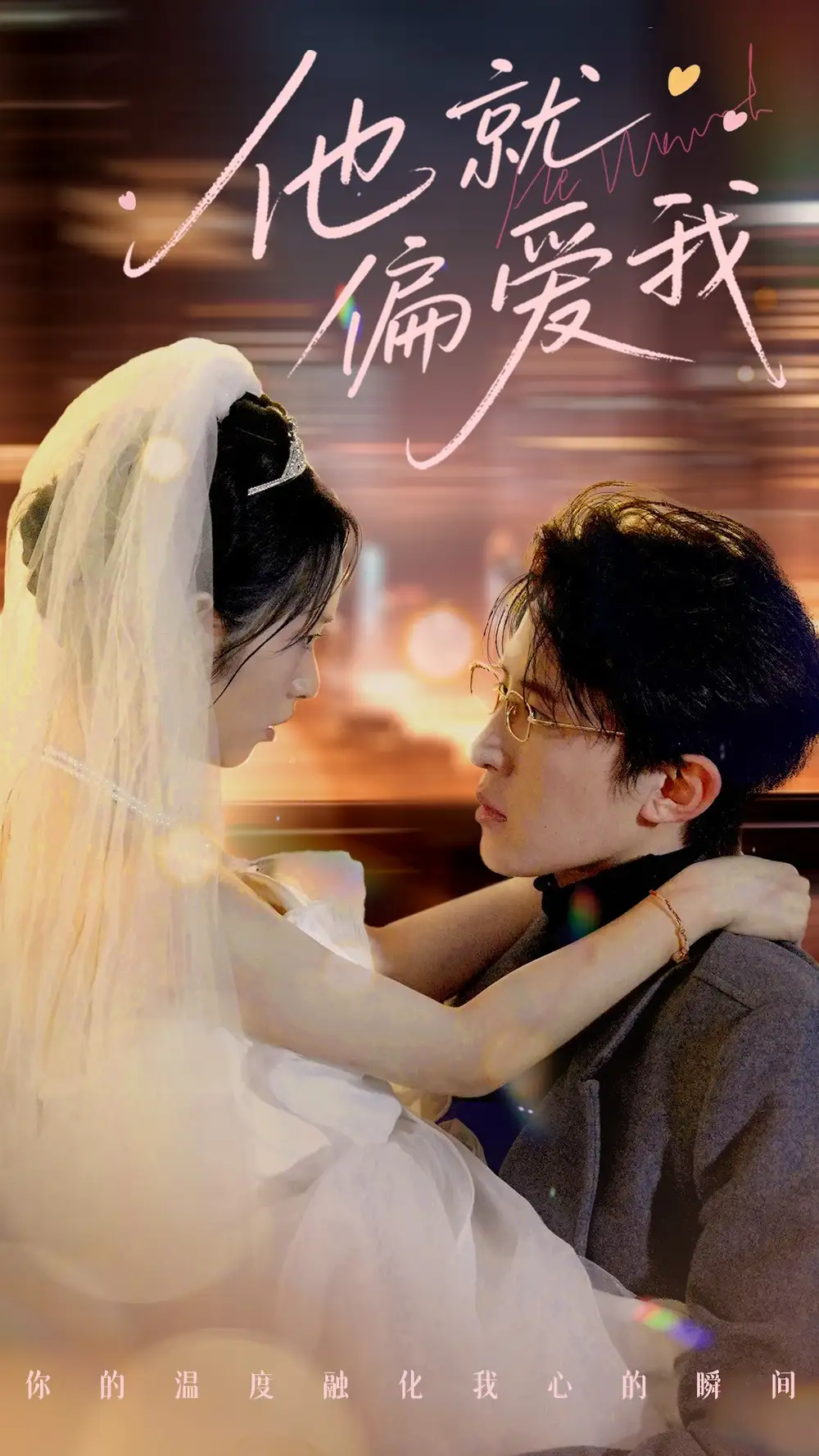 他就偏爱我海报