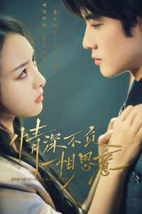 穿到八零家属院老公又红温啦海报