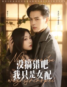 没搞错吧我只是女配海报