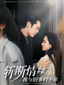 斩断情丝，我与旧事归于尽海报