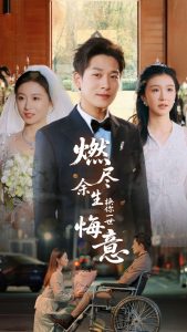 燃尽余生换你一世悔意海报