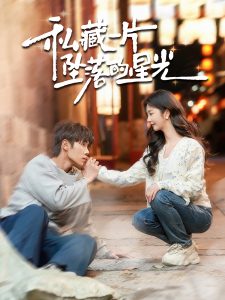 私藏一片坠落的星光海报