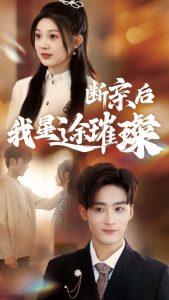 归来后我星途璀璨海报