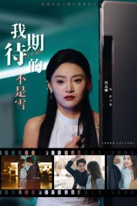 我期待的不是雪海报