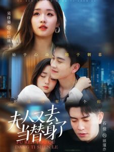 夫人又去当替身了海报