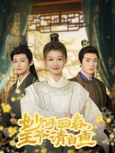 妙手回春王爷请自重海报