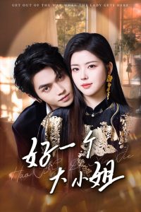 好一个大小姐海报