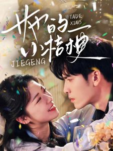 她的小桔梗海报