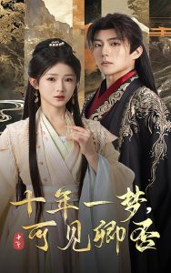 十年一梦可见卿否海报
