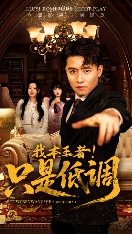 我本王者！只是低调海报