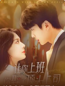 让你上班你娶了顶头上司海报