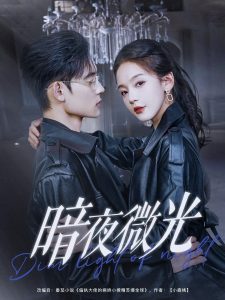 暗夜微光海报