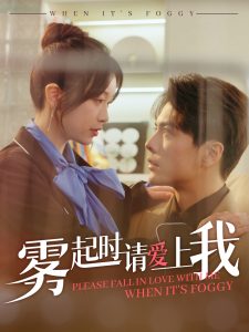 雾起时请爱上我海报