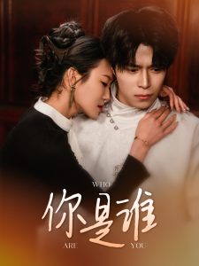 你是谁海报