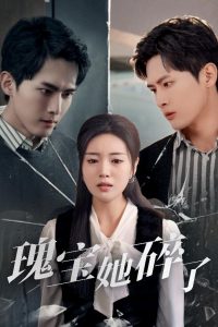 瑰宝她碎了海报