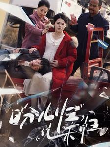 盼儿归儿未归海报