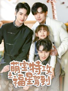 萌宝特攻之福星驾到海报