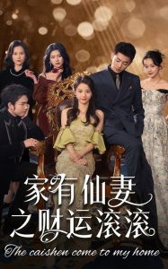 家有仙妻之财运滚滚海报