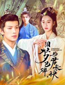 旧梦已碎，与君长诀＆终是深情错付君海报