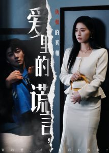 爱里的谎言，仇恨的真相海报