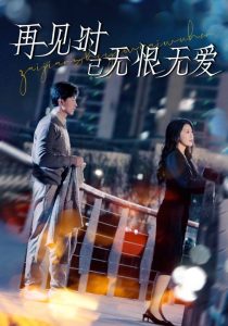 再见时已无恨无爱海报