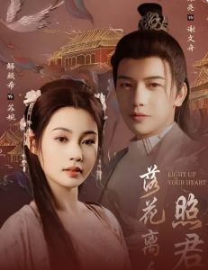 落花离人照君心海报