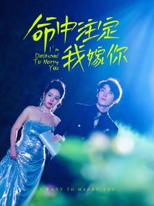 命中注定我嫁你海报