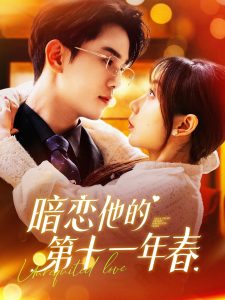 暗恋他的第十一年春海报