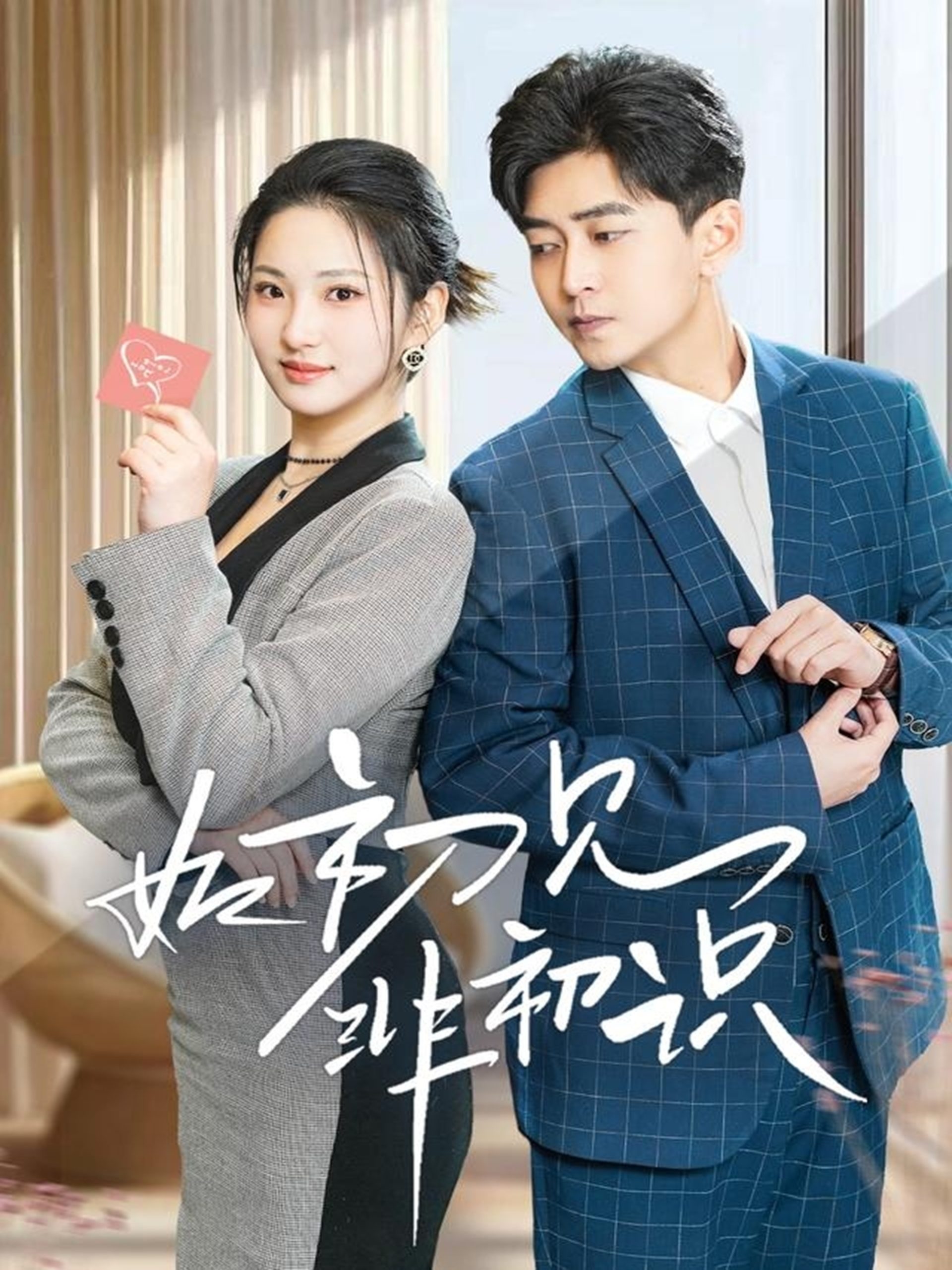 如初见非初识海报