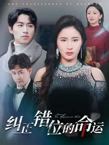 纠正错位的命运海报