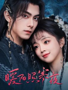 暖阳照寒夜海报