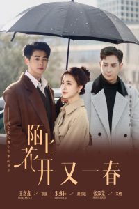 陌上花开又一春海报