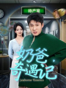 奶爸奇遇记海报