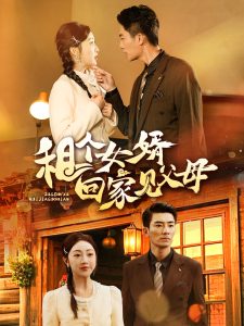 租个女婿回家见父母海报