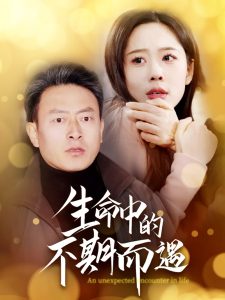 生命中的不期而遇海报