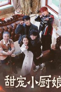 甜宠小厨娘海报