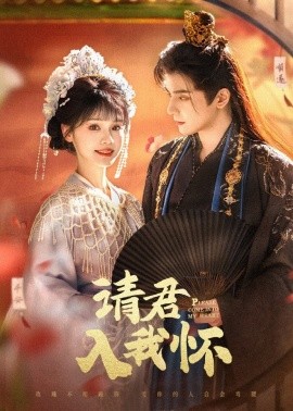 请君入我怀海报