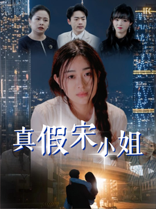 真假宋小姐海报