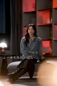 白月光悖论海报