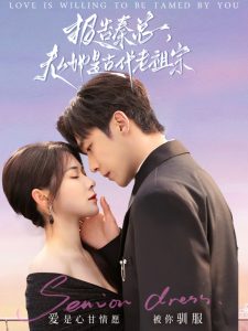 报告秦总，夫人她是古代老祖宗海报