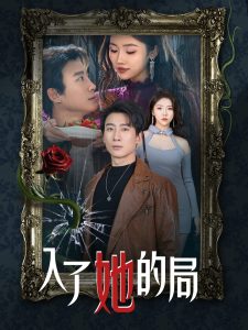 入了她的局海报
