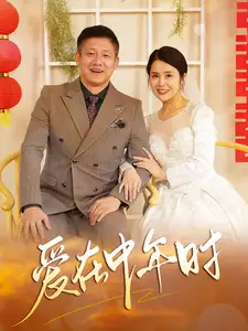 爱在中年时海报