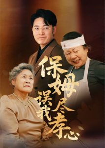 保姆误我尽孝心海报