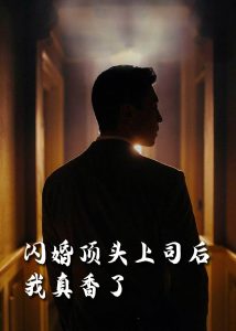 闪婚顶头上司后我真香了海报