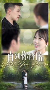 直到你降临海报