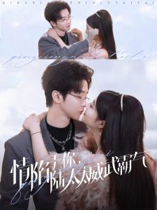 情陷于你，陆太太威武霸气海报