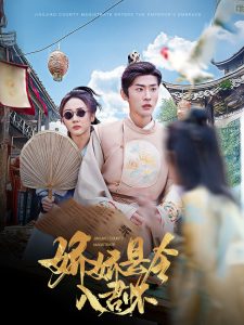 娇娇县令入君怀海报