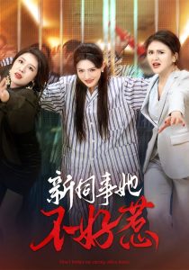 新同事她不好惹海报