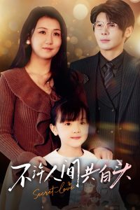 不许人间共白头海报